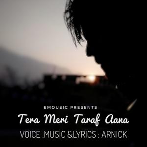 Tera Meri Taraf Aana