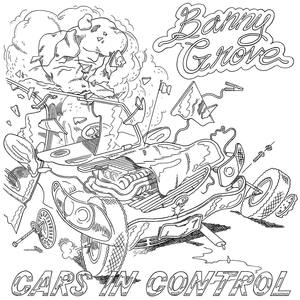 Cars in Control