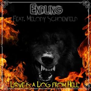 Love is a Dog from Hell (feat. Ron Edelbrock, Dan Heilman, Riley Broding & Melody Schoenfeld)
