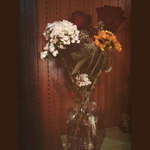 花(free beat Prod.BFCat)