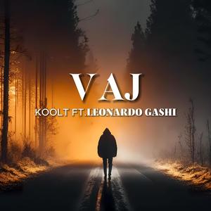 VAJ (feat. LEONARDO GASHI) [Explicit]