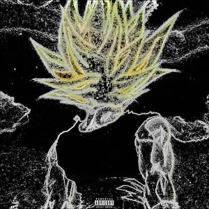 HAHA (feat. FNO Guwop) (Explicit)