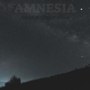 Amnesia (feat. Christ Frost)