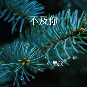 不喜欢但爱 (DJ版)