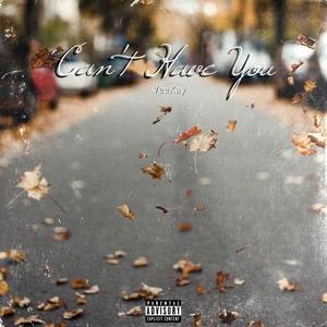 Can't Have You (Explicit)
