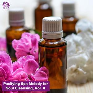 Pacifying Spa Melody for Soul Cleansing, Vol. 4