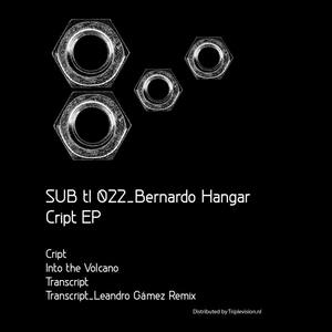 Transcript (Leandro Gámez Remix)