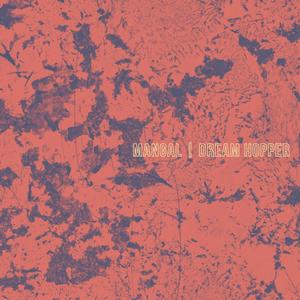 Bugs and Snakes All Over