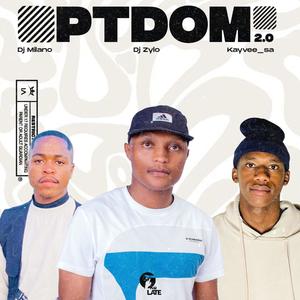 PTDOM 2.0 (feat. Dj Milano & Dj_Zylo)