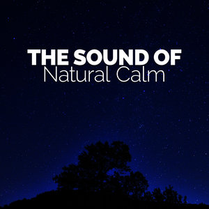 The Sound of Natural Calm