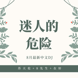侧脸 (DJ Joy张凯轩、DJ苏天伦、DJ8先生版)封面