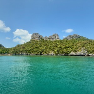 Erwo - Brass Reaction