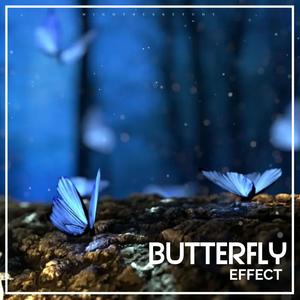 Butterfly Effect