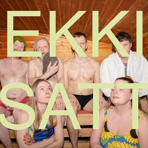 Ekki satt