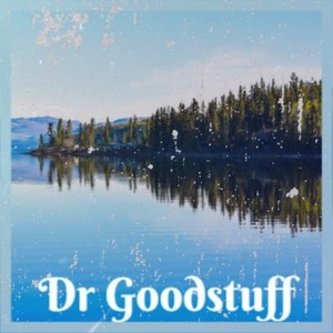 Dr Goodstuff