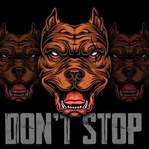 Don't Stop (feat. DMX) (Explicit)