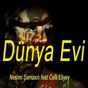 Dünya Evi