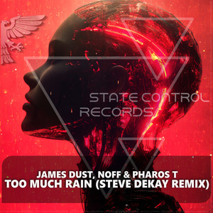 Too Much Rain (Steve Dekay Remix)