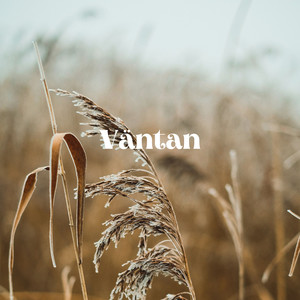 Väntan