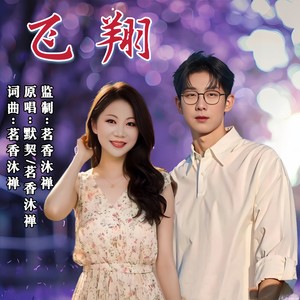 飞翔 (对唱版伴奏)