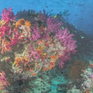 All On Account Of You