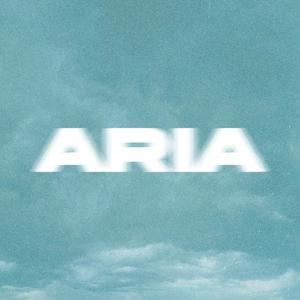 Aria (feat. Mine Dayone) (Explicit)