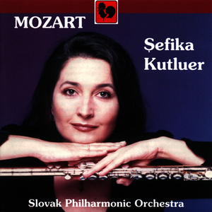 Concerto in C Major for Flute, Harp and Orchestra, K. 299: I. Allegro