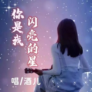 你是我闪亮的星 (女声DJ版|女DJ版|DJ版)