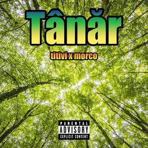 Tânăr (feat. morco) [Explicit]