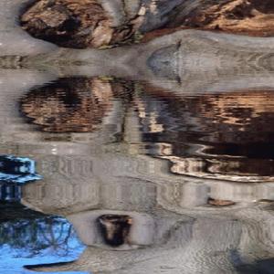 clou dans mon pied (Explicit)