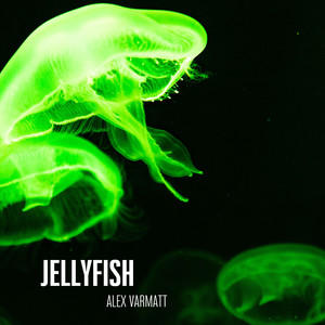 Jellyfish