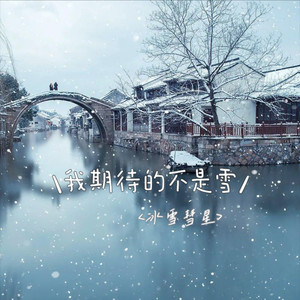 张妙格-我期待的不是雪 (横州DJ98 VinaHouse Mix国语女)