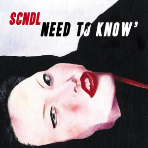 Need to Know-2 (Markus Lange & Stereofunk Remix)
