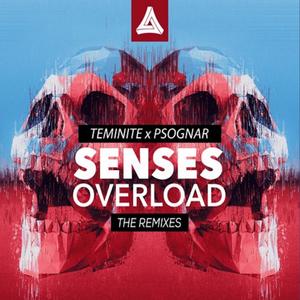 Senses Overload (VIP Mix)