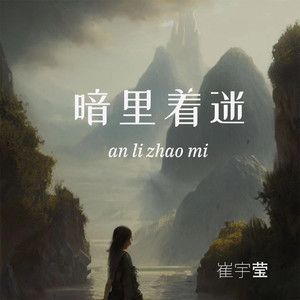 暗里着迷封面