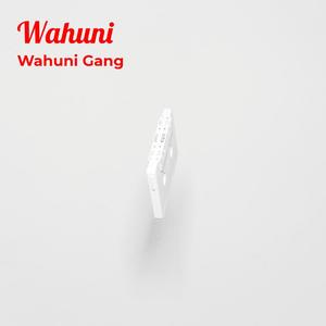 Wahuni Gang 254 (Explicit)