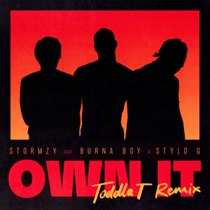 Own It (feat. Burna Boy & Stylo G) [Toddla T Remix]