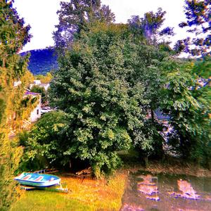 This Evil(feat. J.Wu)