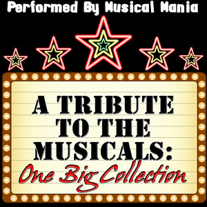 A Tribute To The Musicals: One Big Collection