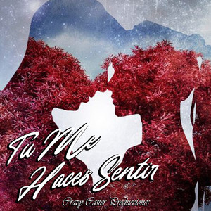 Tu Me Haces Sentir