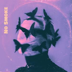 NO SMOKE (feat. Josh Ritter, Hiss Golden Messenger & Lamb) (Special Version)