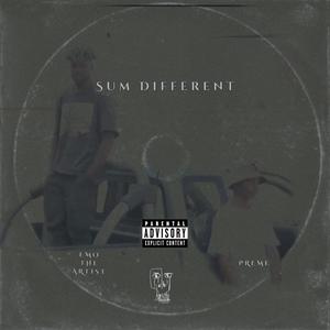 Sum Different (feat. Emo The Artist) [Explicit]