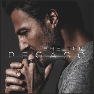 Shelter