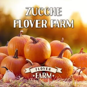 ZUCCHE FLOVER FARM