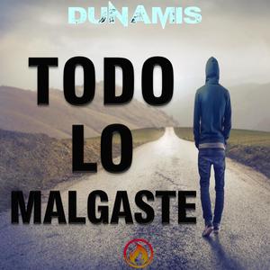 Todo Lo Malgaste