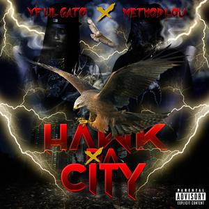 HAWK DA CITY (feat. Method Lou) (Explicit)