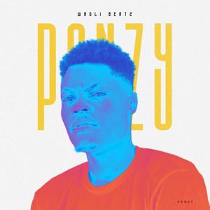 PONZY (Explicit)