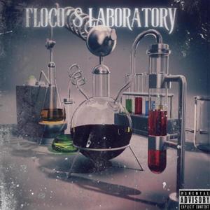 Floco's Laboratory (Explicit)