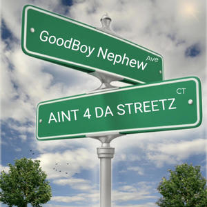 Aint 4 Da Streetz (Explicit)