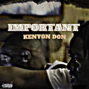 Important (Explicit)